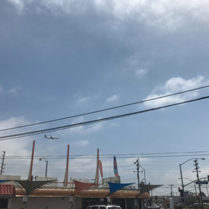 农村乱伦美女做爱
